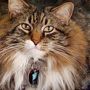 HEY COME, SEE WHAT MY MAMMA HAS TO SELL, DISCOUNTED SHIPPING WITH EVERY ORDER!